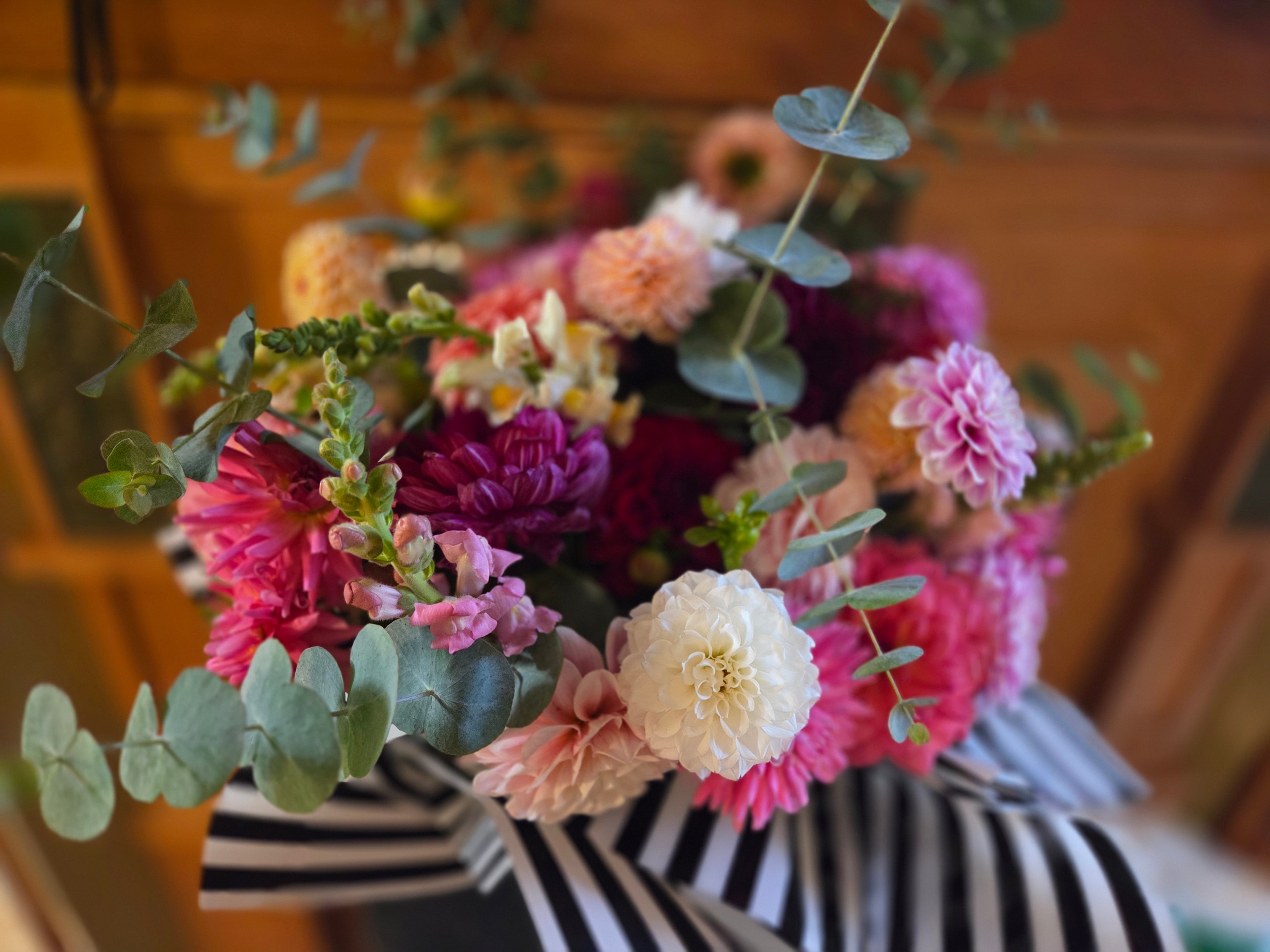 20 tubers of mixed dahlias